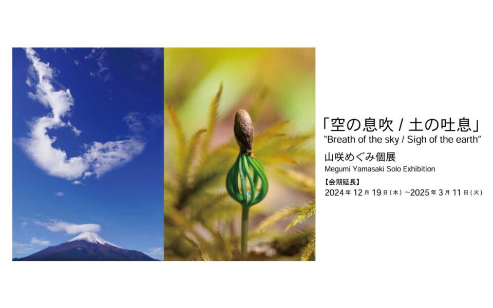 山咲めぐみ個展「空の息吹/土の吐息」